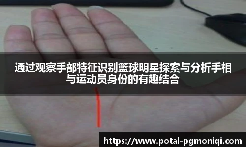 PG模拟器