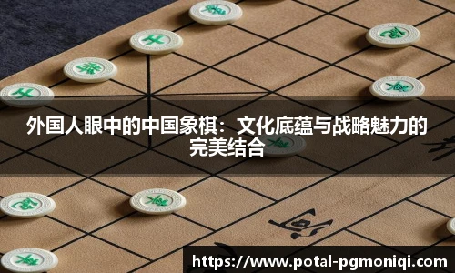 外国人眼中的中国象棋：文化底蕴与战略魅力的完美结合