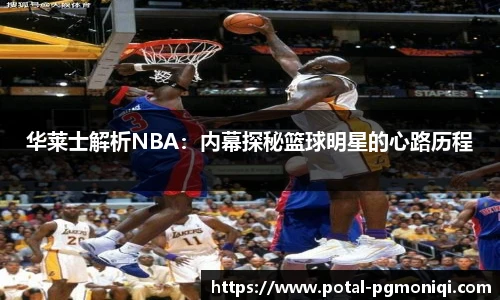 华莱士解析NBA：内幕探秘篮球明星的心路历程