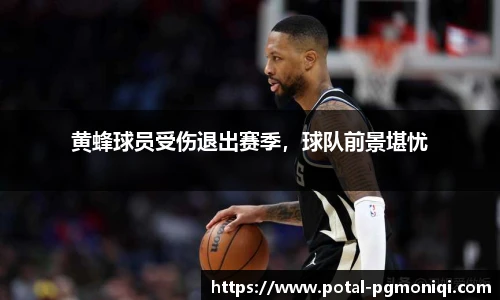 黄蜂球员受伤退出赛季，球队前景堪忧