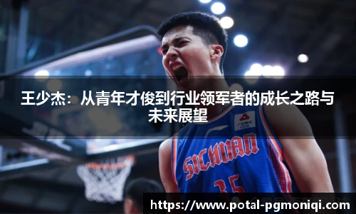 王少杰：从青年才俊到行业领军者的成长之路与未来展望
